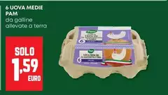 Pam - 6 Uova Medie Pam - 6 Uova Medie