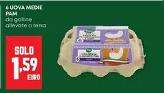Pam - 6 Uova Medie Pam - 6 Uova Medie