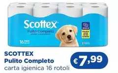 Scottex - Pulito Completo Scottex - Pulito Completo