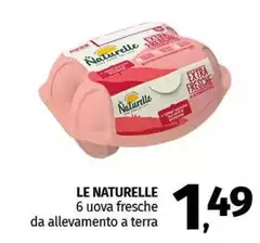 Le Naturelle - 6 Uova Fresche Da Allevamento A Terra