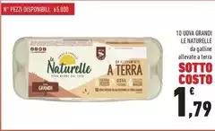Le Naturelle - 10 Uova Grandi