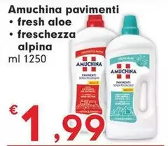 Amuchina - Pavimenti