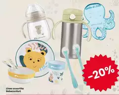 Linea - Assortita Linea - Assortita