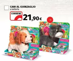 Cani Al Guinzaglio Cani Al Guinzaglio