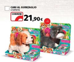 Cani Al Guinzaglio