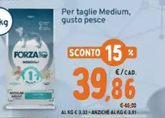 Per Taglie Medium, Gusto Pesce