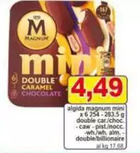 Algida - Magnum Mini Double