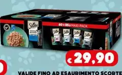 Sheba - Valide Fino Ad Esaurim Esto Scorte Sheba - Valide Fino Ad Esaurim Esto Scorte