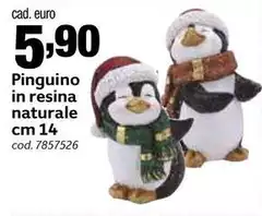 Pingüino In Resina Naturale Pingüino In Resina Naturale