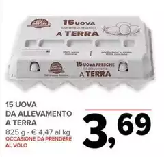 15 Uova Da Allevamento A Terra