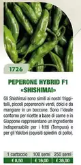 Peperone Hybrid F1 Shishimai 