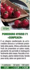 Pomodoro Sunpeach