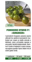 Pomodoro Hy F1 Sungreen
