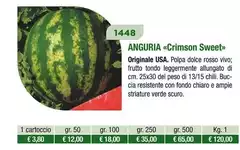 Anguria 