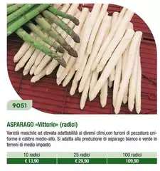  Asparago