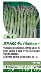 Asparago