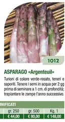 Asparago Argenteuil