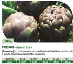 Carciofo Imperial Star