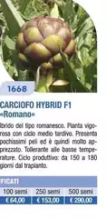 Carciofo Hybrid F41 Romano