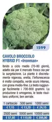 Cavolo Broccolo Hybrid F1 Ironman Cavolo Broccolo Hybrid F1 Ironman