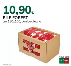 Solo - Pile Forest Solo - Pile Forest