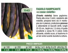 Fagiolo Rampicante Fagiolo Rampicante