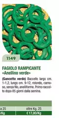 Fagiolo Rampicante Fagiolo Rampicante