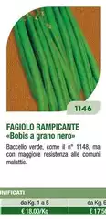 Fagiolo Rampicante Fagiolo Rampicante