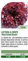Lattuga A Cespo Red Salad Bowl