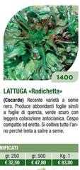 Lattuga Radichetta