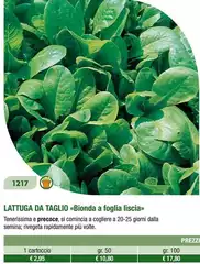 Lattuga Da Taglio Lattuga Da Taglio