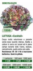 Lattuga 