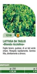 Lattuga Da Taglio