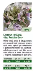 Lattuga Romana
