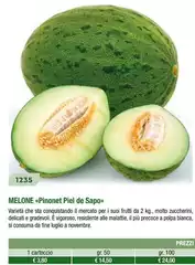 Melone Melone