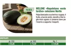 Melone Melone