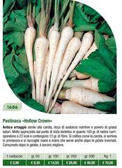Pastinaca «Hollow Crown »