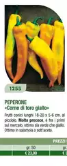 Peperone