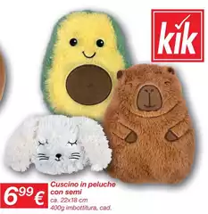Cuscino In Peluche Con Semi 