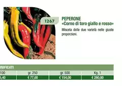 Peperone