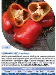 Ariosto - Peperone Hybrid F4 