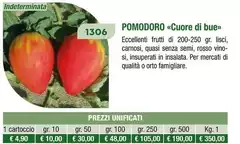 Pomodoro Cuore Di Bue