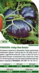 Pomodoro Indigo E Beauty
