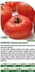 Pomodoro