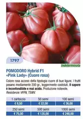  Pomodoro 