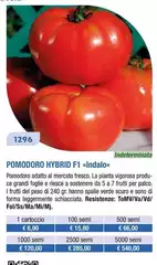 Pomodoro Hybrid F1