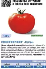 Pomodoro Hybrid F1