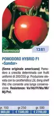 Pomodoro Hybrid F1