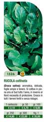 Rucola Coltivata