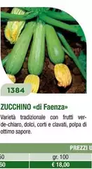 Zucchino
